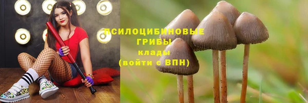 кристаллы Саяногорск