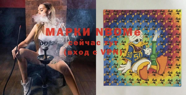 мдпв Рославль