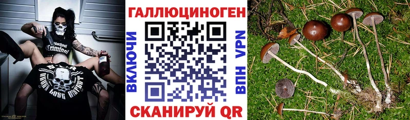 Галлюциногенные грибы GOLDEN TEACHER  OMG как зайти  Бежецк  купить  цена 