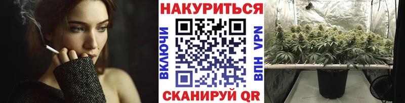 Бошки Шишки White Widow  Бежецк 